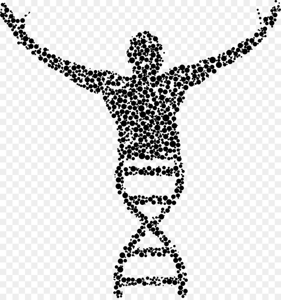 Molecular biology DNA Clip art - science png download - 2169*2299 - Free Transparent Biology png Download.
