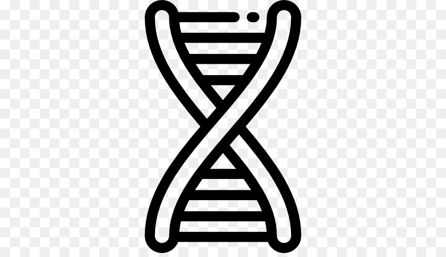 DNA Genetics Nucleic acid double helix Chromosome - science png download - 512*512 - Free Transparent Dna png Download.