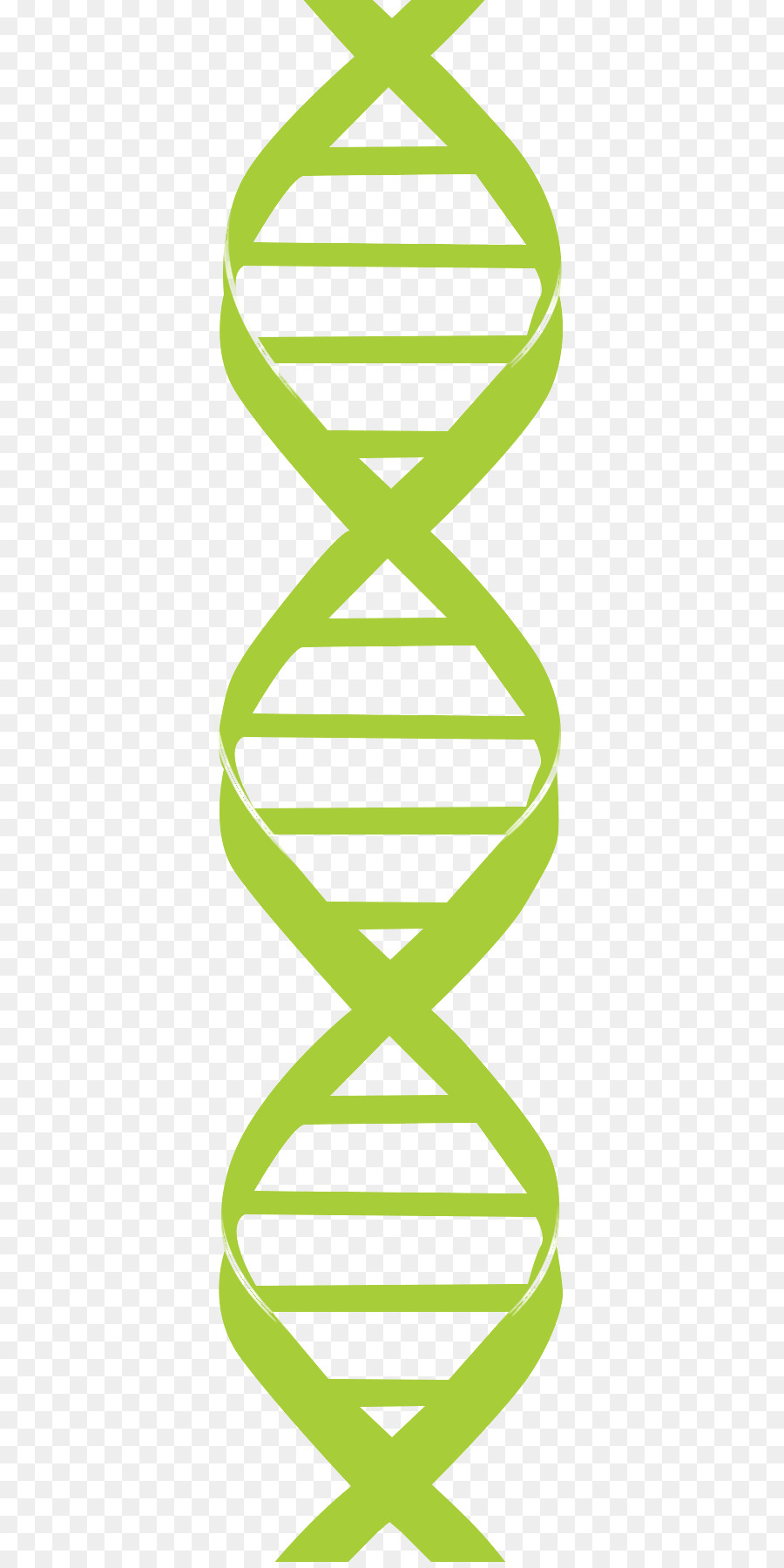 Clip art Nucleic acid double helix DNA Genetics - dna strand png download - 411*1793 - Free Transparent Nucleic Acid Double Helix png Download.