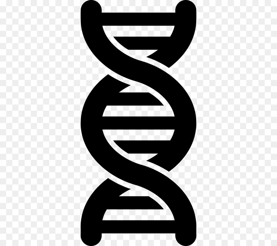 DNA Computer Icons Genetics Clip art - dna backgaund png download - 800*800 - Free Transparent Dna png Download.