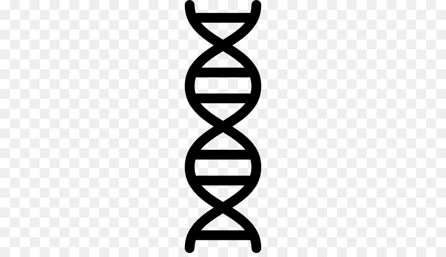 The Double Helix: A Personal Account of the Discovery of the Structure of DNA Nucleic acid double helix - chromosome vector png download - 512*512 - Free Transparent Dna png Download.