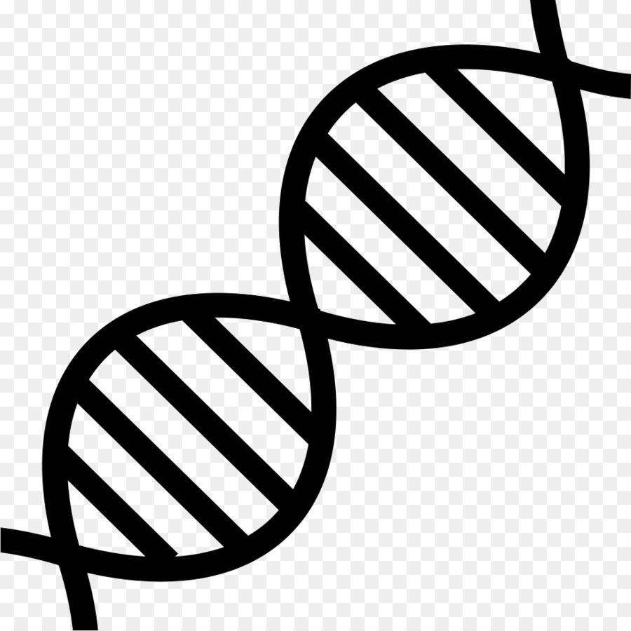DNA Clip art Genetics Nucleic acid double helix -  png download - 981*981 - Free Transparent Dna png Download.