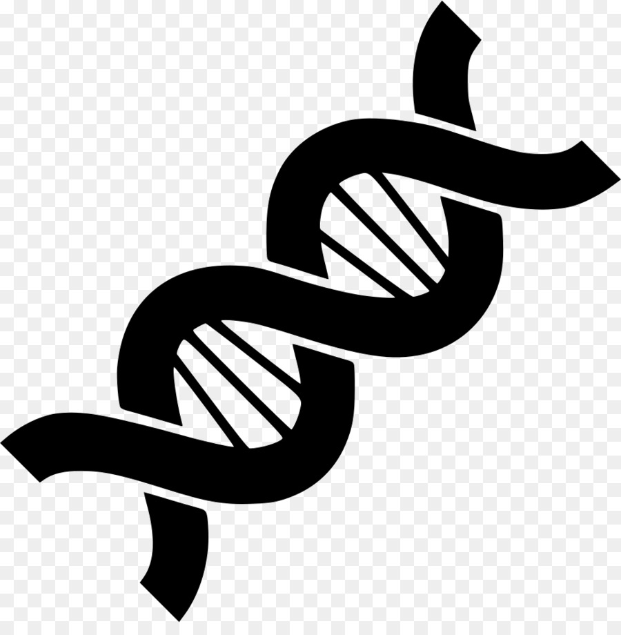 Genetics Computer Icons DNA - DNA png download - 980*982 - Free Transparent Genetics png Download.
