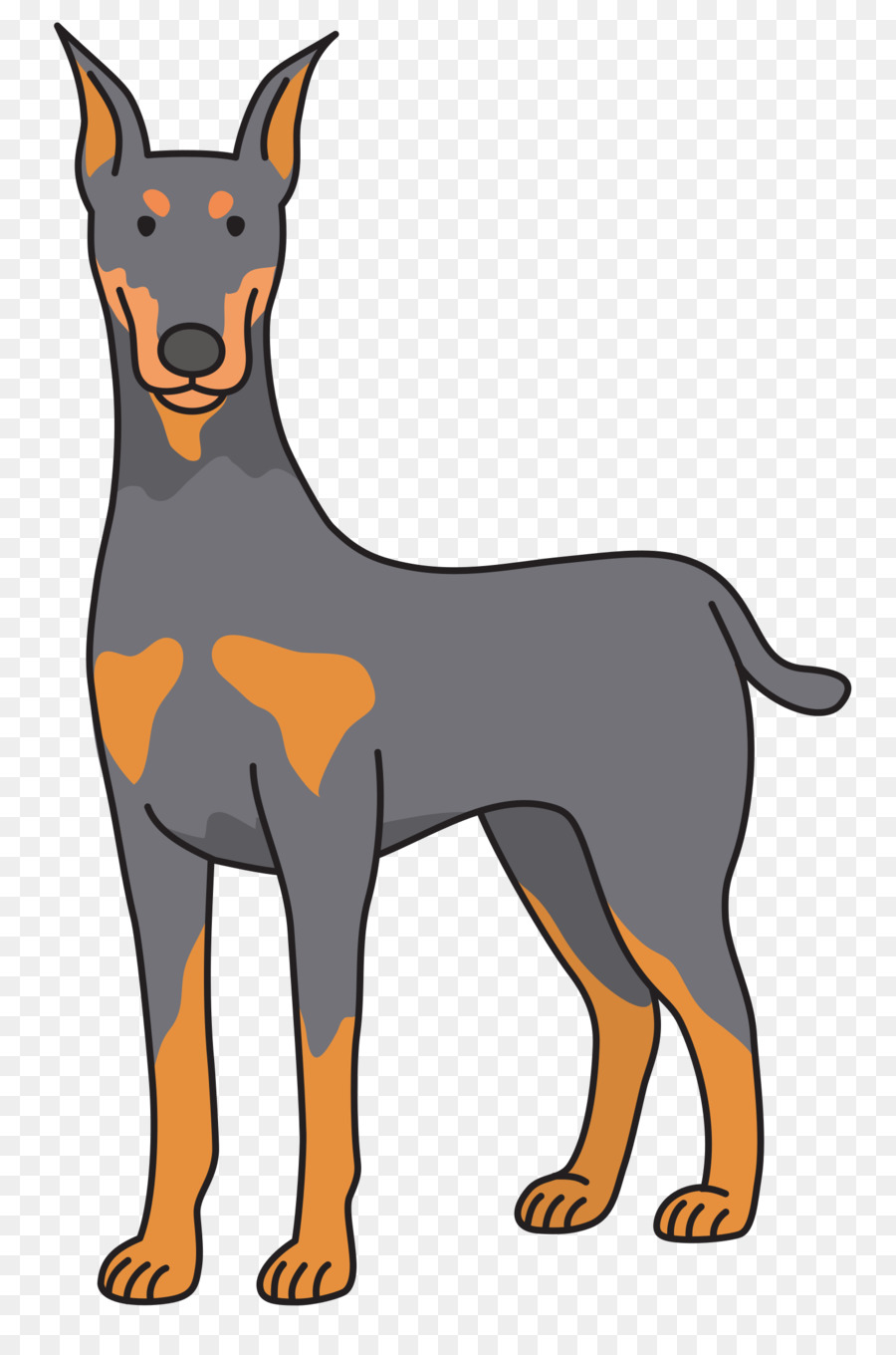 Dobermann Puppy Clip art - Dog png download - 1590*2400 - Free Transparent Dobermann png Download.