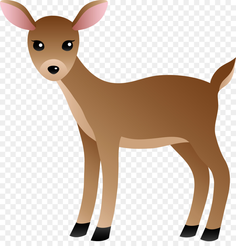 White-tailed deer Clip art - Deer Reading Cliparts png download - 6667*6830 - Free Transparent Deer png Download.