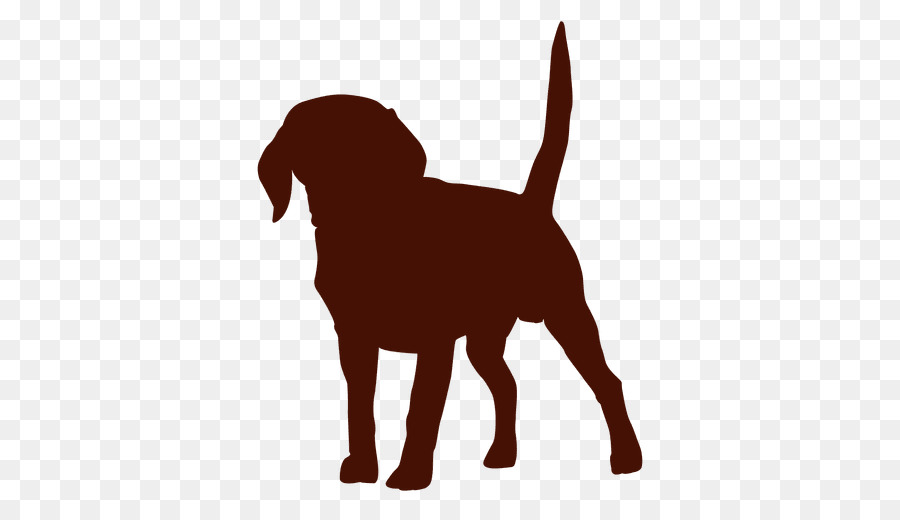 Dog Veterinarian Cat Puppy Pet - Dog png download - 512*512 - Free Transparent Dog png Download.