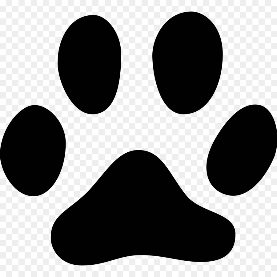 Cat Footprint Paw Animal track Dog - bone dog png download - 1600*1600 - Free Transparent Cat png Download.