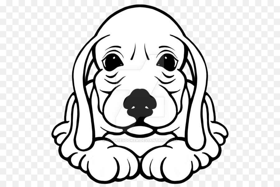 Beagle Puppy Dog breed Whiskers Snout - puppy png download - 600*600 - Free Transparent Beagle png Download.