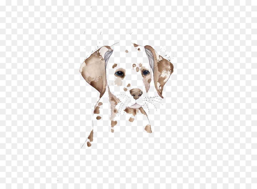 Dalmatian dog Watercolor painting Drawing Illustration - Watercolor spotted dog png download - 600*656 - Free Transparent Dalmatian Dog png Download.