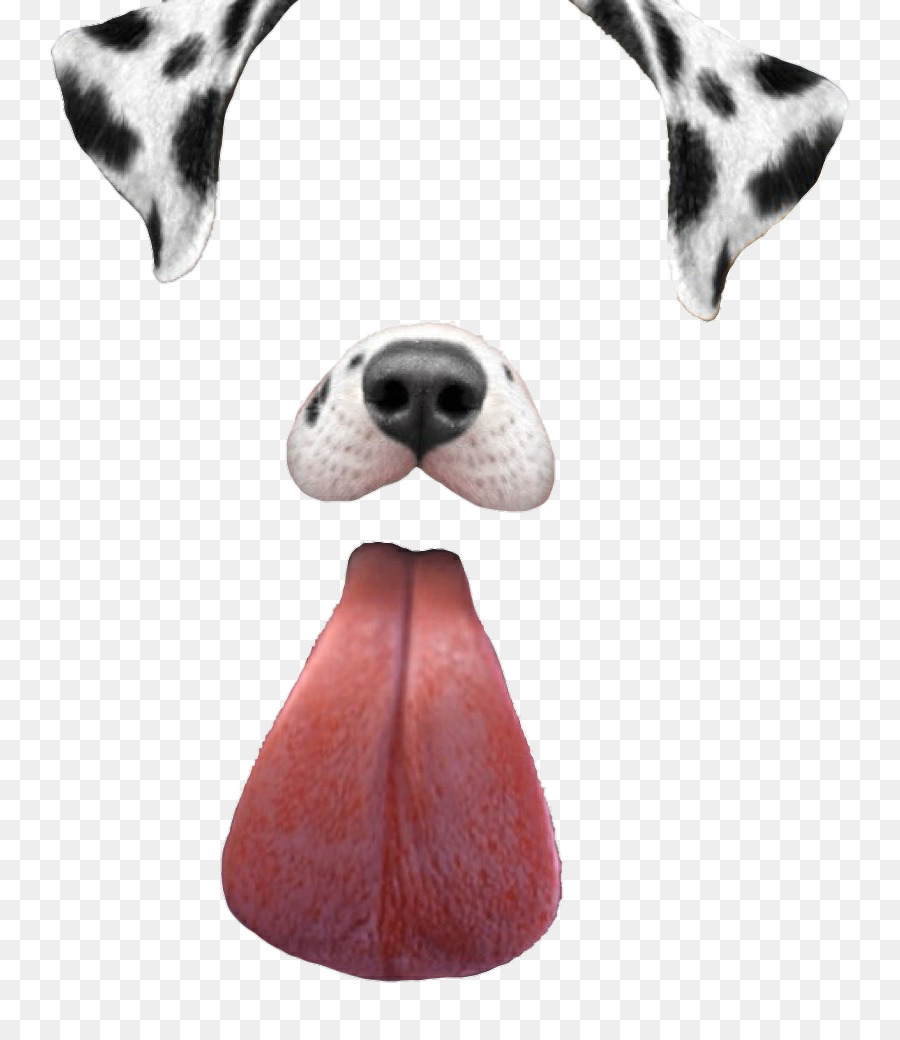 Dalmatian dog Dachshund Puppy Snapchat - Icon Free Vectors Download Snapchat Filters png download - 856*1024 - Free Transparent Dalmatian Dog png Download.