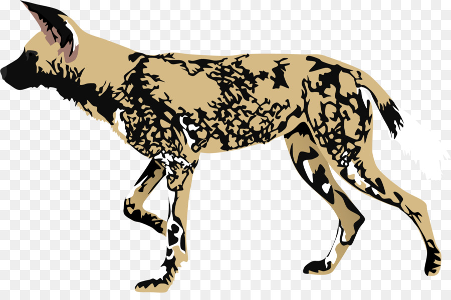African wild dog Dhole Clip art - Cartoon Mean Dog png download - 900*586 - Free Transparent Dog png Download.