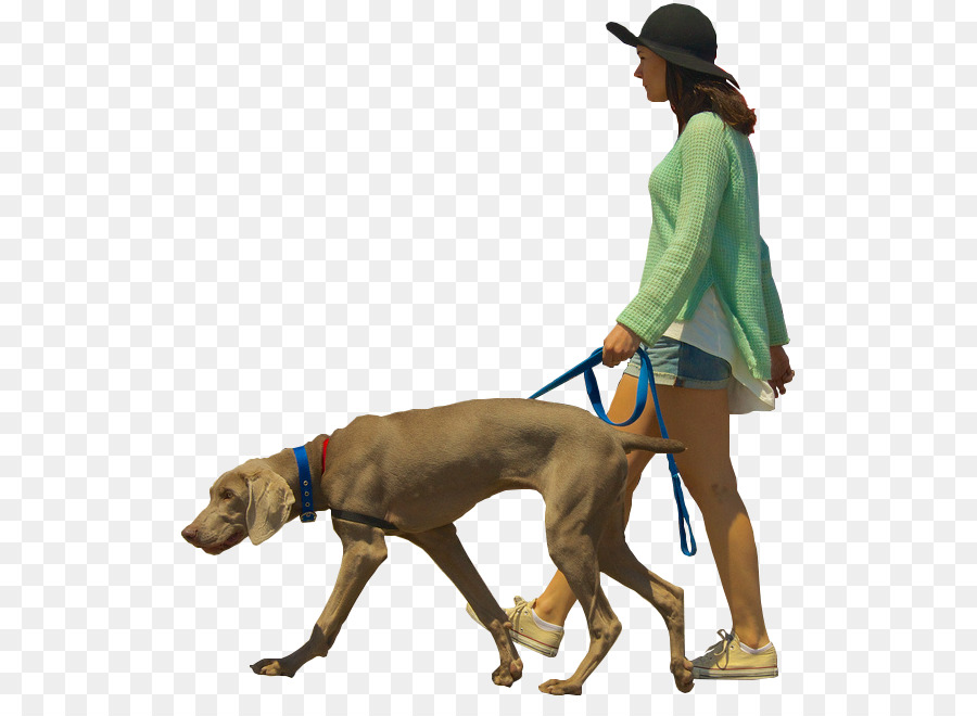 Dog walking Architectural rendering - Dog png download - 571*646 - Free Transparent Dog png Download.