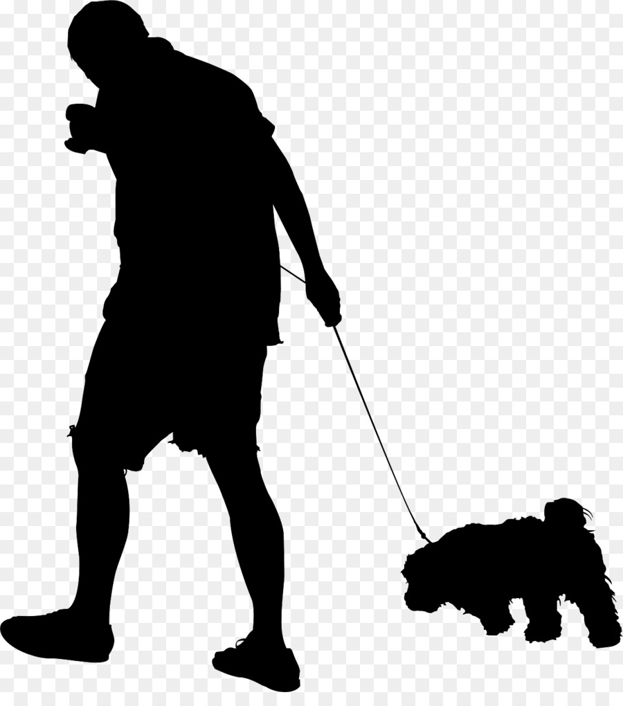 Dog Human behavior Male Leash -  png download - 1219*1355 - Free Transparent Dog png Download.