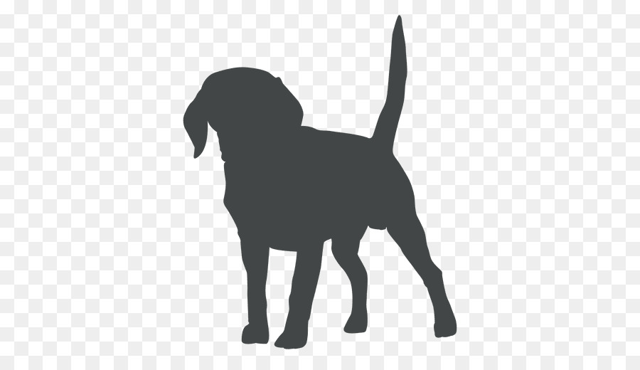 Dog Puppy Pet Veterinarian - Dog png download - 512*512 - Free Transparent Dog png Download.