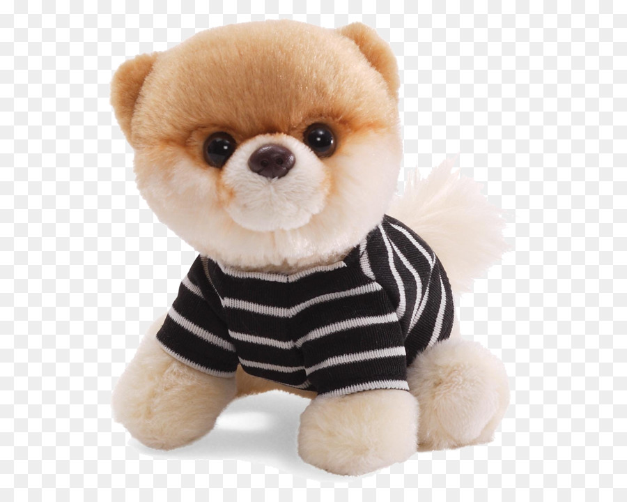 T-shirt Boo Gund Plush Dog - Boo Dog Transparent Background png download - 616*703 - Free Transparent  png Download.