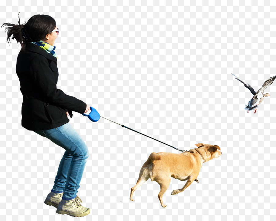 Dog walking Clip art - dogs png download - 1100*864 - Free Transparent Dog png Download.