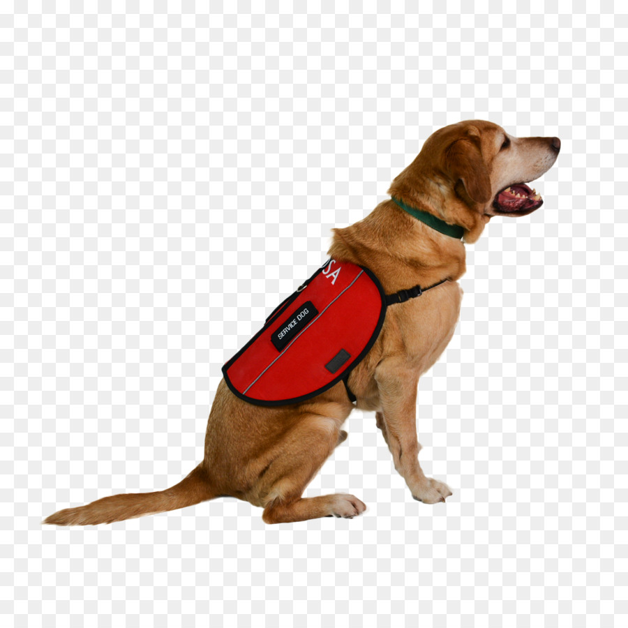 Service dog Dog harness Leash Emotional support animal - Police dog png download - 1500*1500 - Free Transparent Dog png Download.