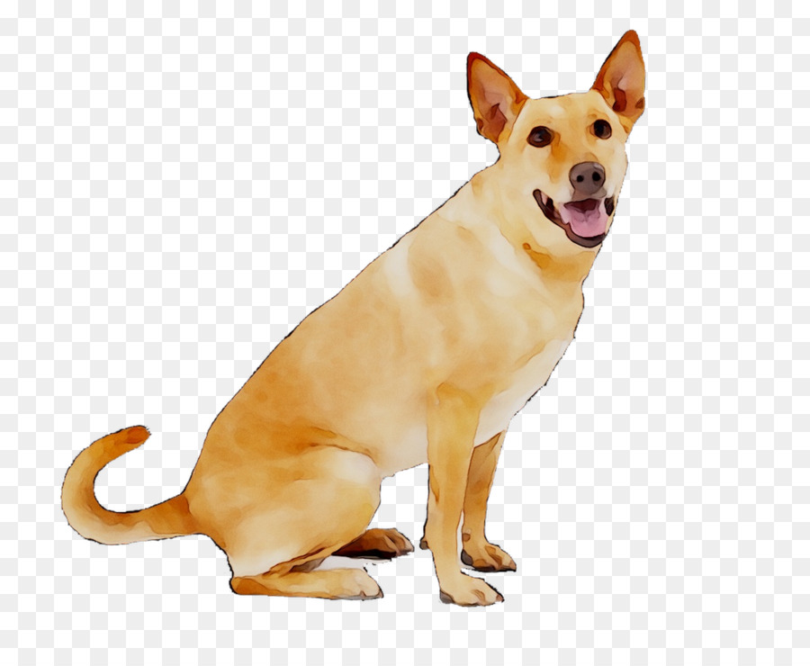Dog breed Carolina Dog PetSafe Anti-Barking Collar De Luxe Large Dogs Companion dog -  png download - 1316*1053 - Free Transparent Dog Breed png Download.