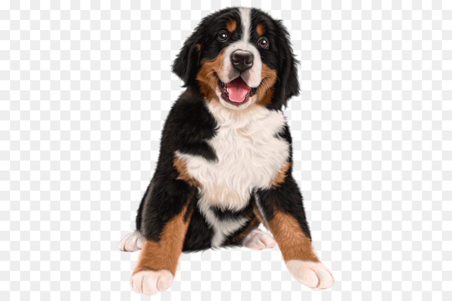 Bernese Mountain Dog Puppy Pupcakes: A Christmas Novel Kitten The BARKtenders Guide: To Dogtails and Pupcakes - Painted dog stay Meng png download - 456*600 - Free Transparent Bernese Mountain Dog png Download.