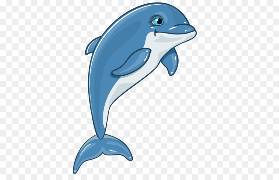 Dolphin Clip art - 3d dolphins png download - 6186*3932 - Free Transparent Dolphin png Download.