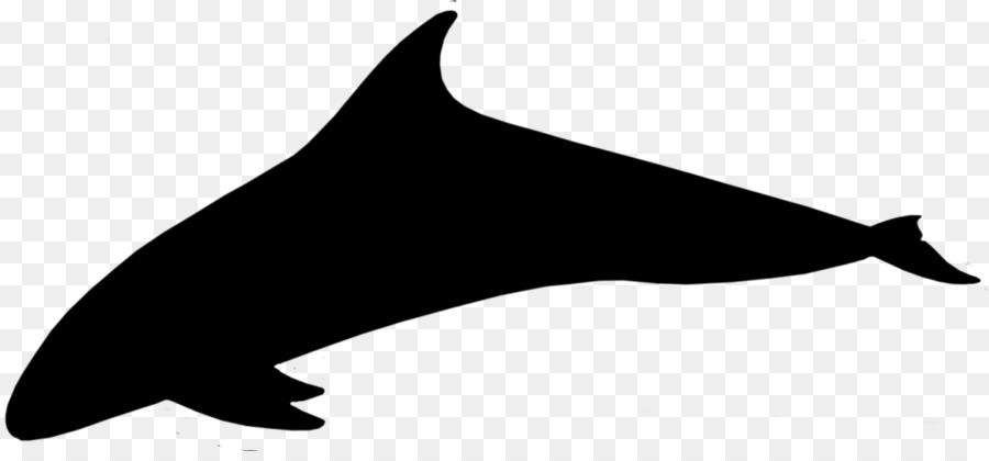 Dolphin Porpoise Clip art Silhouette Line -  png download - 1024*468 - Free Transparent Dolphin png Download.