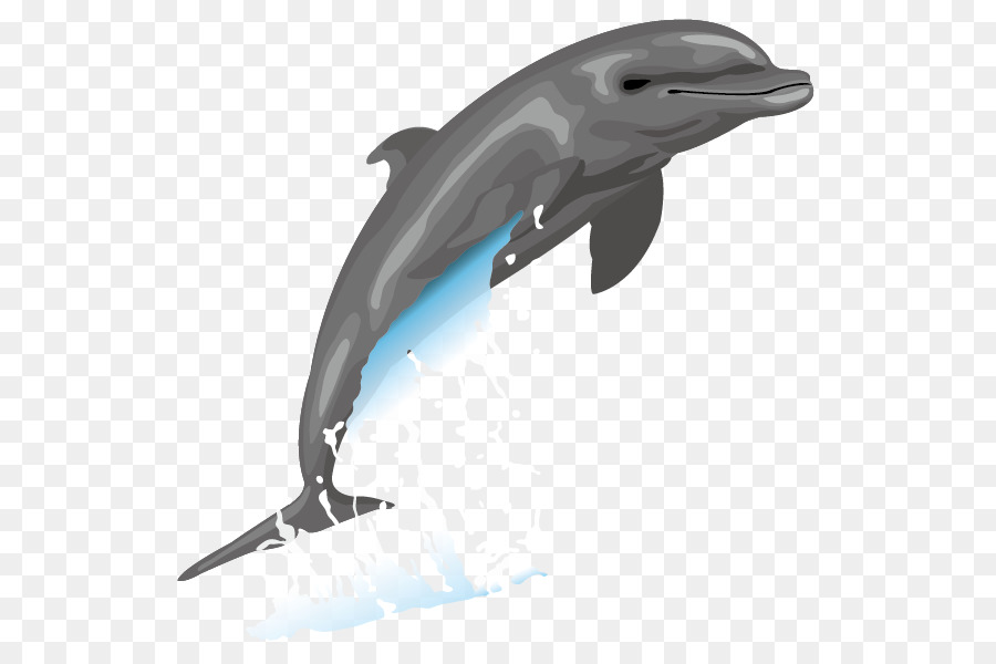 Dolphin Free content Drawing Clip art - Vector Dolphins png download - 842*596 - Free Transparent Dolphin png Download.