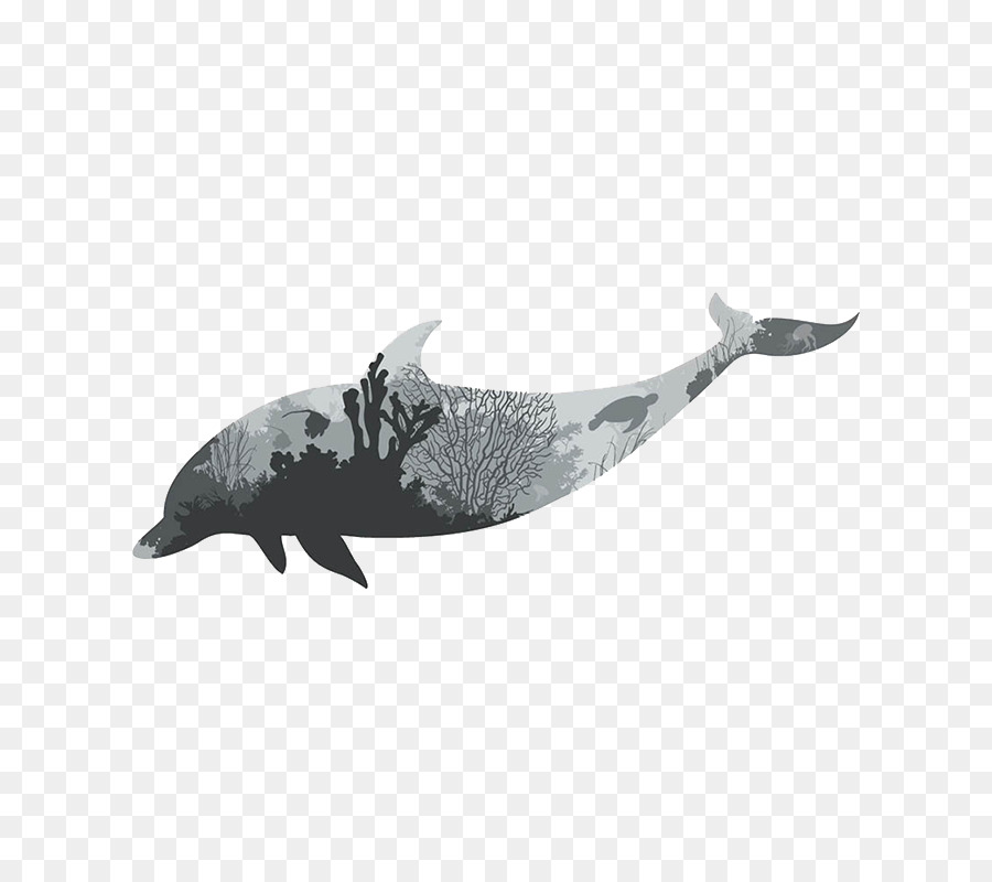 Vector graphics Wall decal Image Dolphin Illustration - dolphin silhouette png download - 800*800 - Free Transparent Wall Decal png Download.