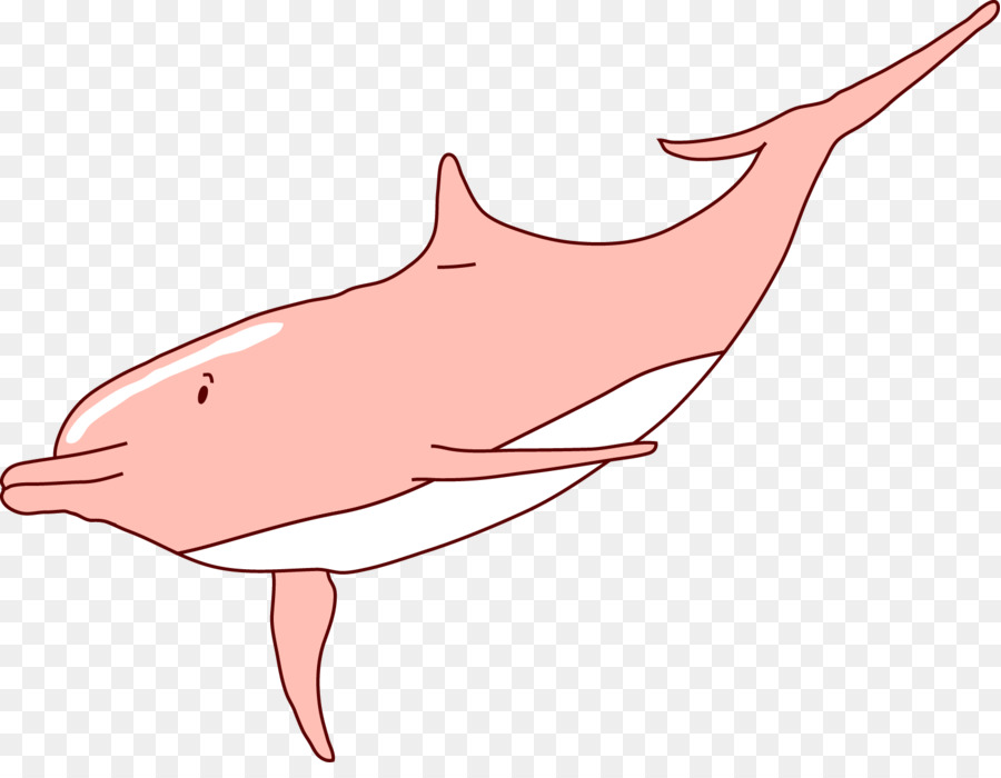 Tucuxi Dolphin Clip art - Vector Dolphins png download - 1568*1196 - Free Transparent  png Download.