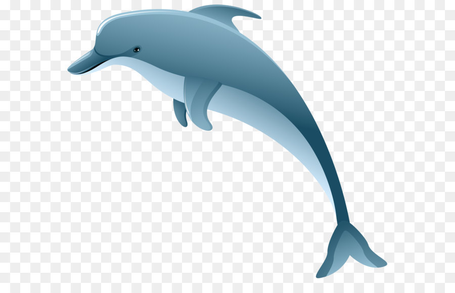 Dolphin Clip art - Dolphin PNG Clip Art Image png download - 8000*6984 - Free Transparent Common Bottlenose Dolphin png Download.
