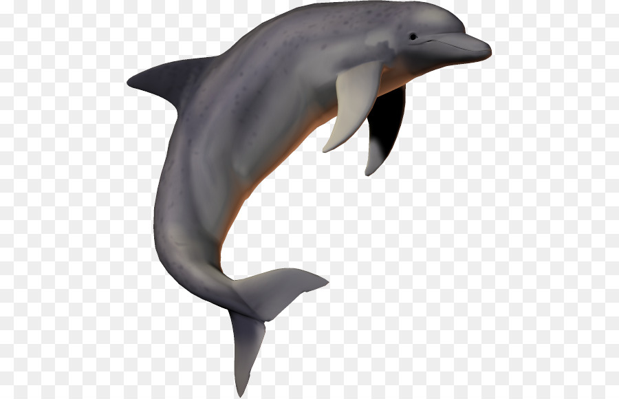 Dolphin Download Clip art - dolphin png download - 532*579 - Free Transparent Dolphin png Download.