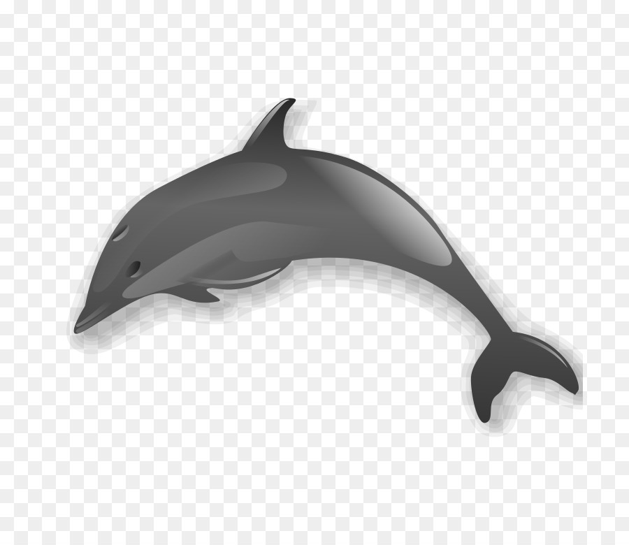 Dolphin Clip art - Dolphin Clip png download - 768*768 - Free Transparent Dolphin png Download.