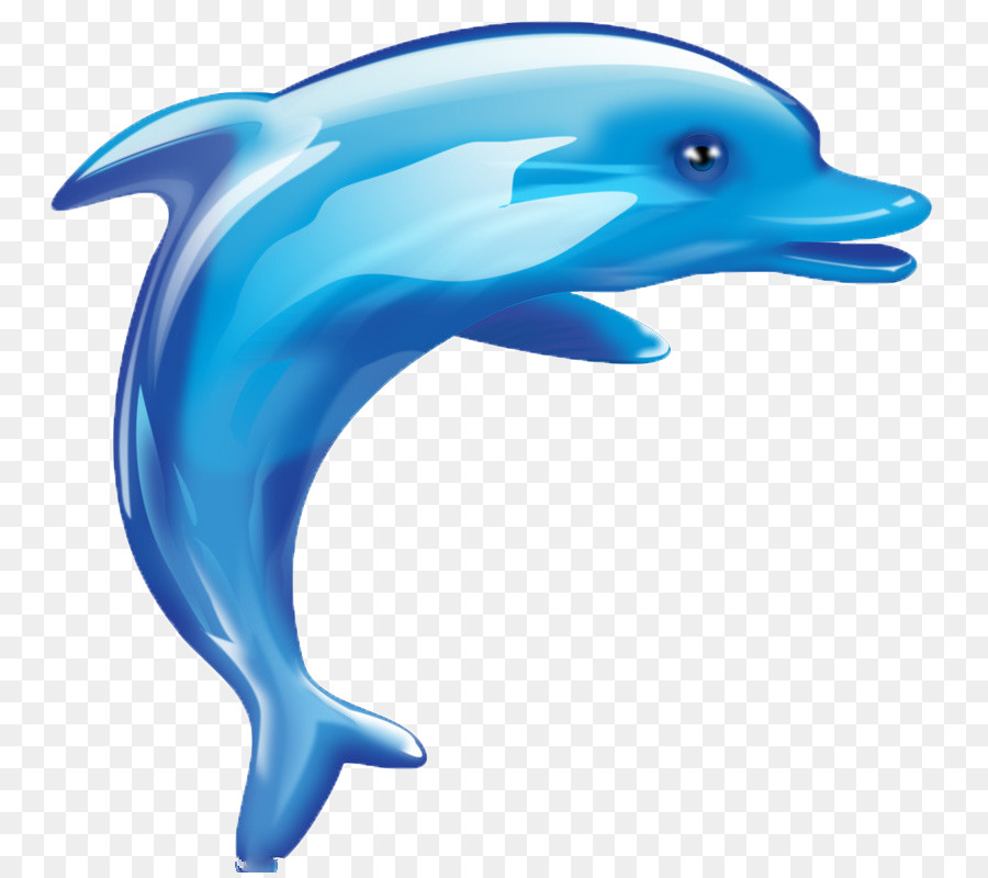 Dolphin Cartoon Cuteness - dolphin,animal,lovely png download - 834*800 - Free Transparent Dolphin png Download.