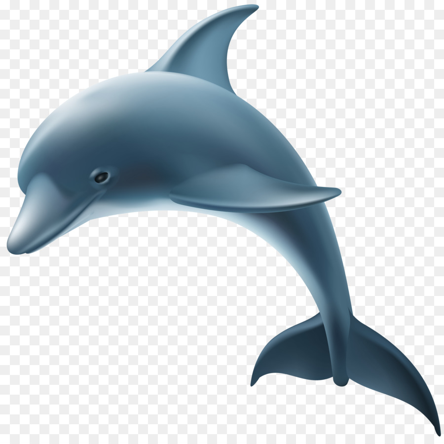 Common bottlenose dolphin Transparency and translucency Clip art - dolphin png download - 8000*7924 - Free Transparent Common Bottlenose Dolphin png Download.