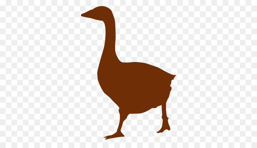 Donald Duck Goose Silhouette Cygnini - duck png download - 512*512 - Free Transparent Duck png Download.