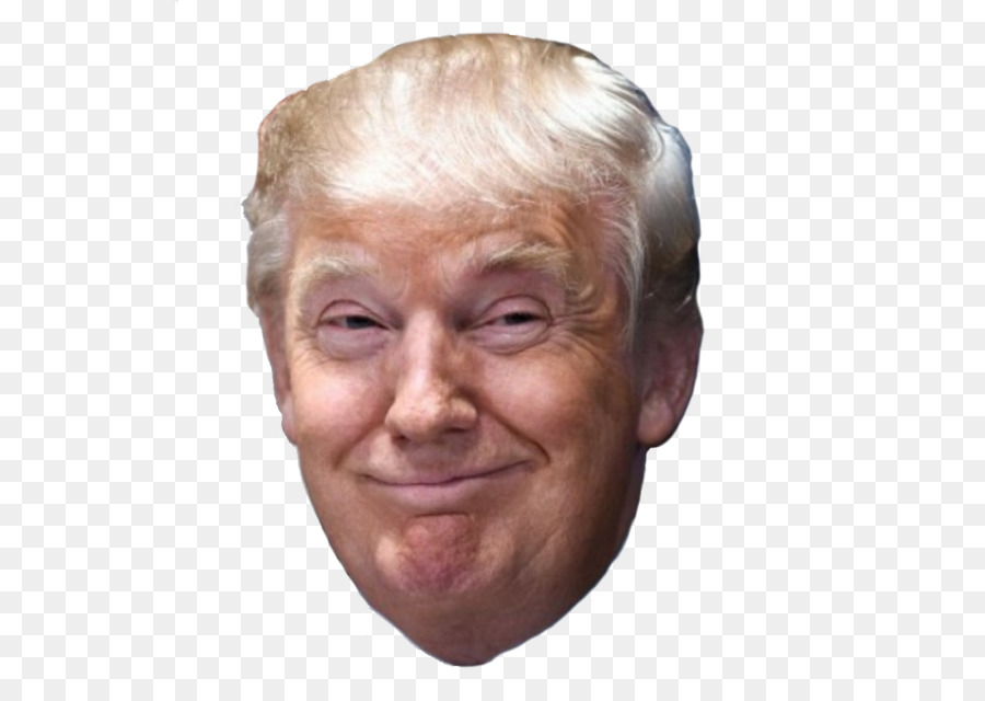 Protests against Donald Trump President of the United States Republican Party - donald trump png download - 1484*1026 - Free Transparent Donald Trump png Download.