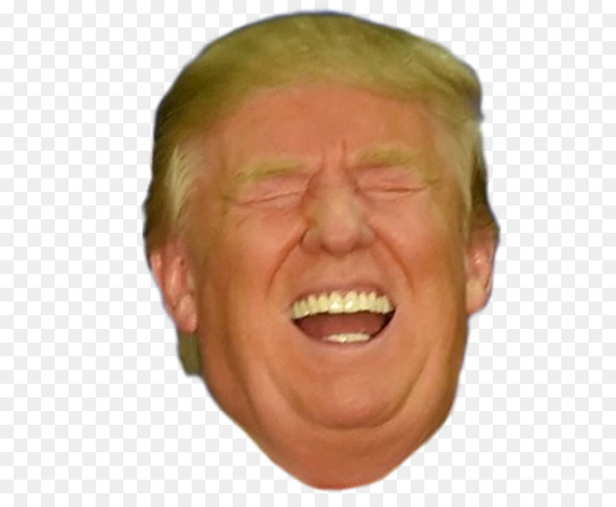 Donald Trump Chin President of the United States Make America Great Again Cheek - donald trump png download - 616*726 - Free Transparent Donald Trump png Download.