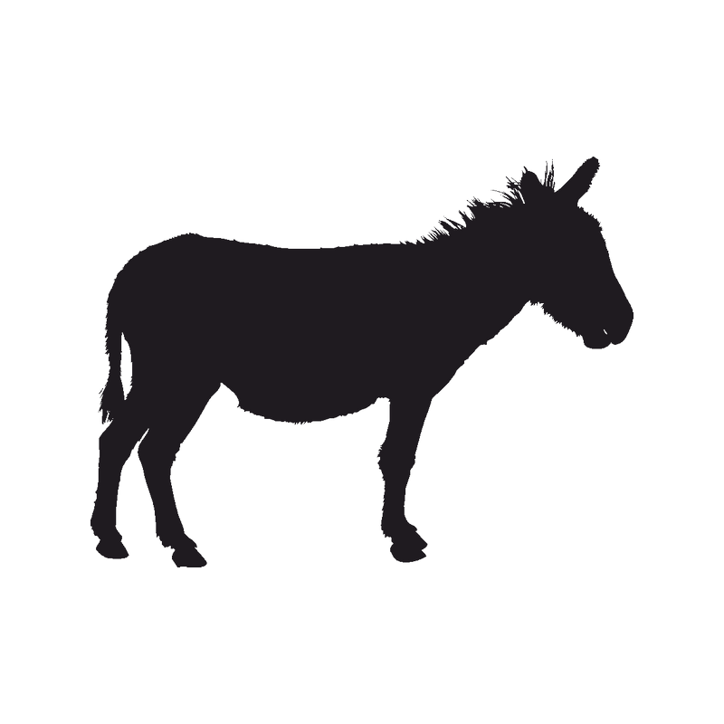 Mule Donkey Silhouette Clip art - donkey png download - 800*800 - Free ...