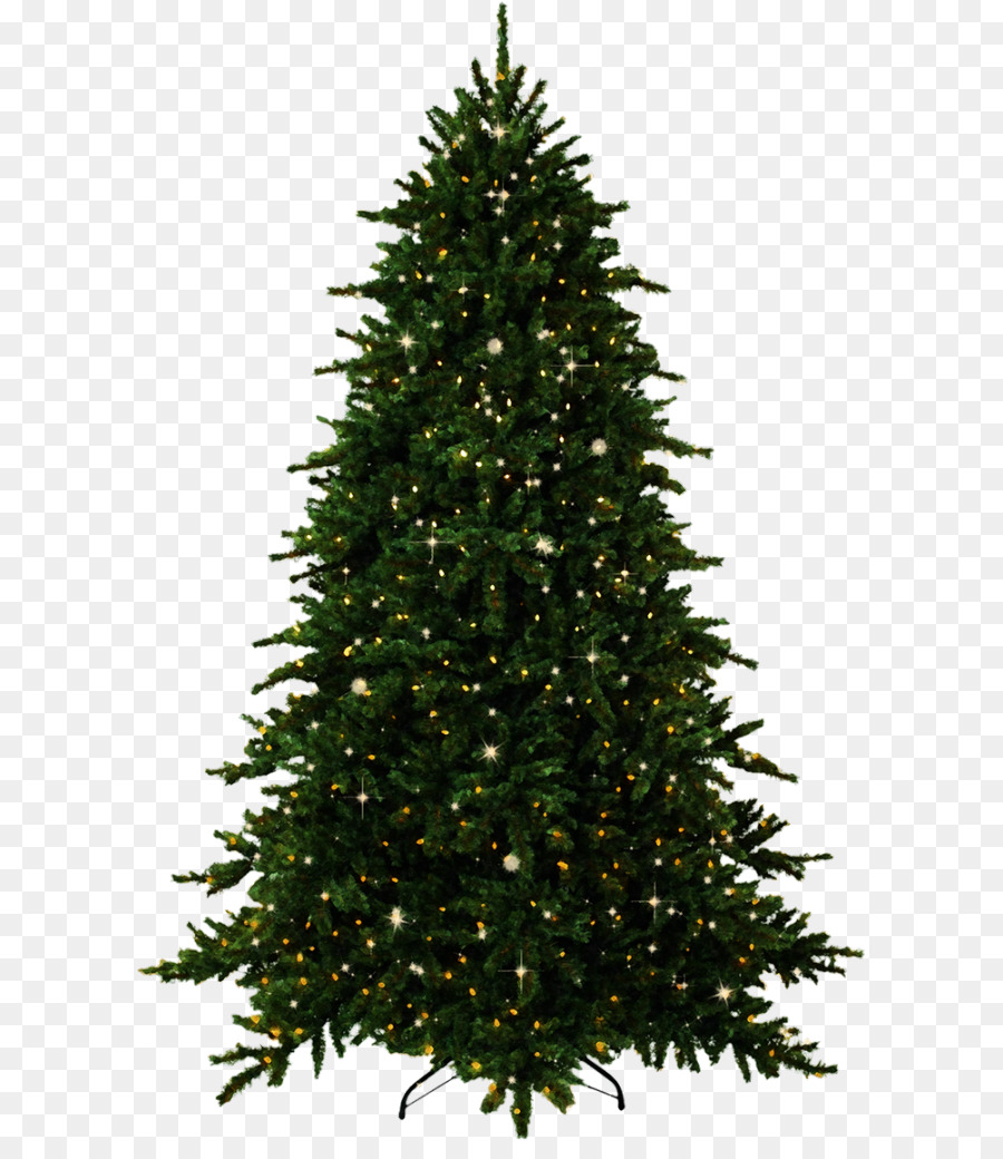 Fir Tree Pine Christmas - tree png download - 655*1024 - Free Transparent Fir png Download.