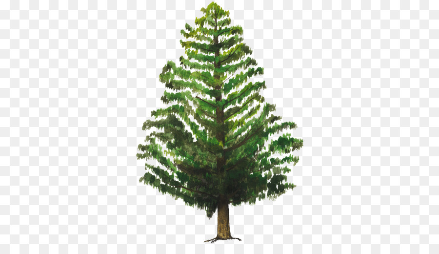 Artificial Christmas tree Pine Douglas fir - tree png download - 750*502 - Free Transparent Tree png Download.