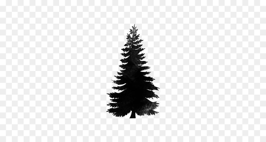 Spruce Christmas tree Stone pine Douglas fir - pigeons 12 0 1 png download - 640*480 - Free Transparent Spruce png Download.