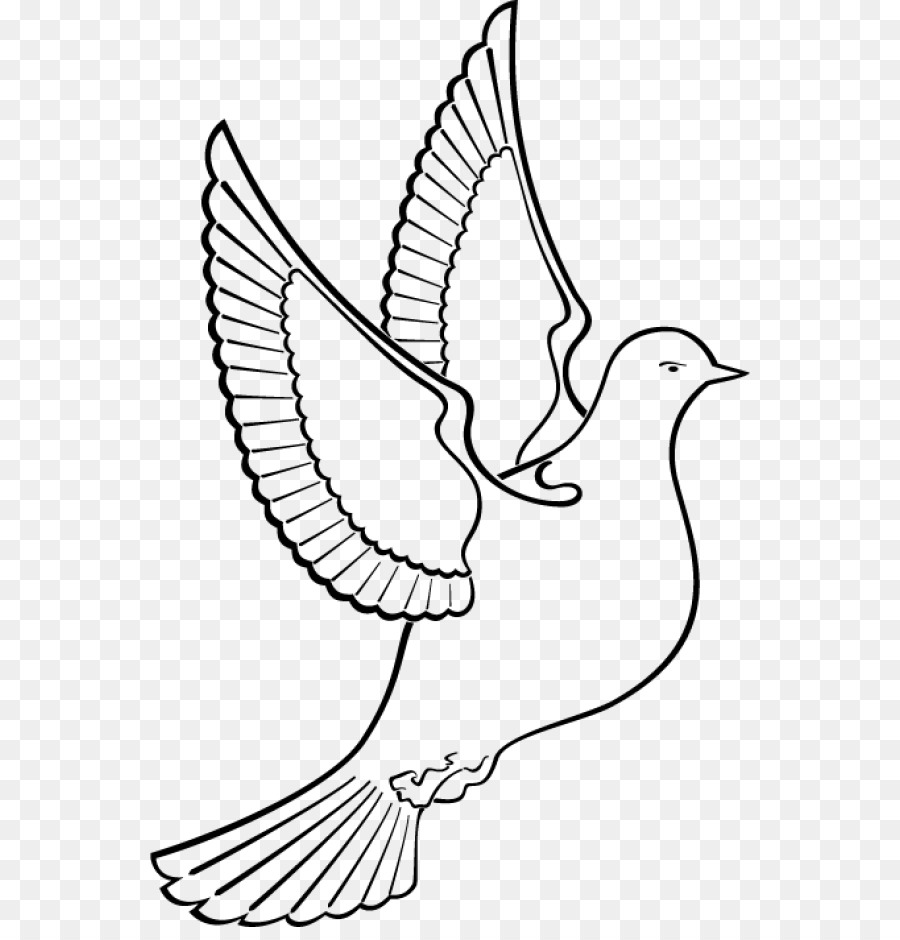 Columbidae Drawing Clip art - dove silhouette png download - 600*927 - Free Transparent Columbidae png Download.