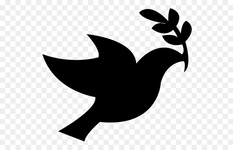 Columbidae Peace Doves as symbols Clip art - Dove Cliparts png download - 1331*1166 - Free Transparent Columbidae png Download.