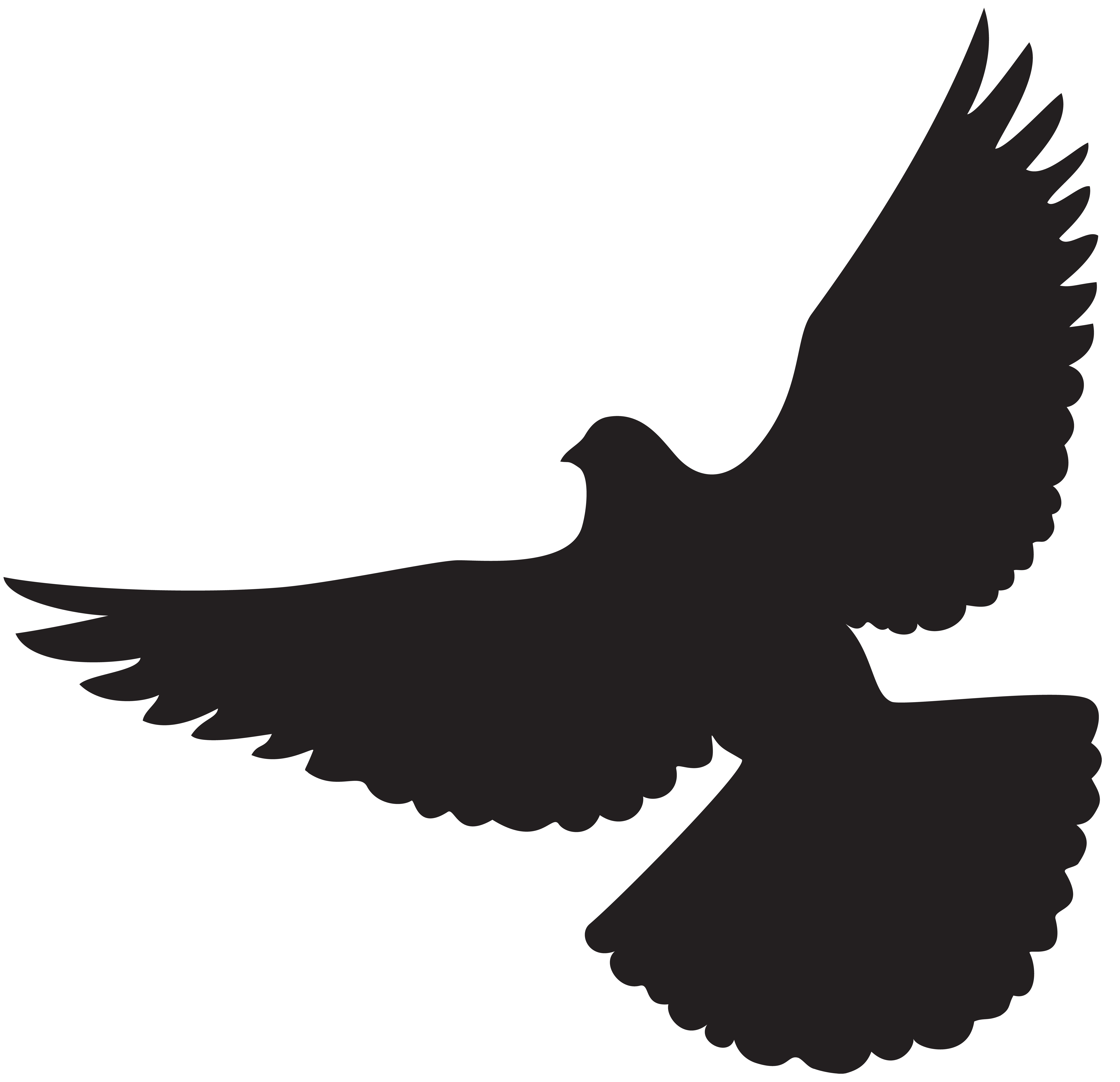 Bird Wing Bat Flight Lift - Dove Silhouette PNG Clip Art png download ...