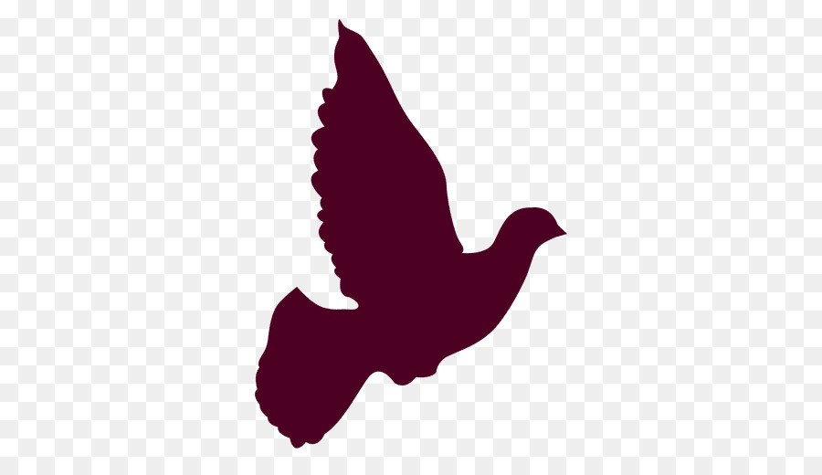 Columbidae Silhouette Doves as symbols Clip art - peace dove png download - 512*512 - Free Transparent Columbidae png Download.