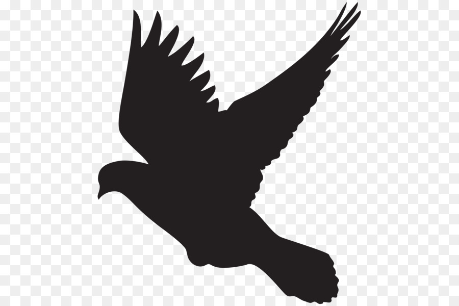 Columbidae Silhouette Dove Clip art - dove vector png download - 523*600 - Free Transparent Columbidae png Download.
