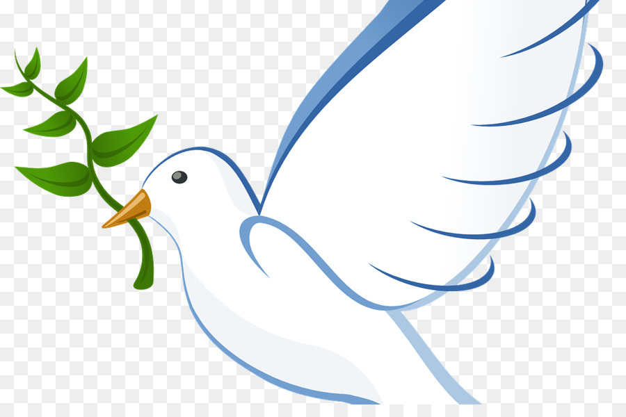 Pigeons and doves Clip art Free content Vector graphics Doves as symbols - paz png download - 1044*675 - Free Transparent Pigeons And Doves png Download.