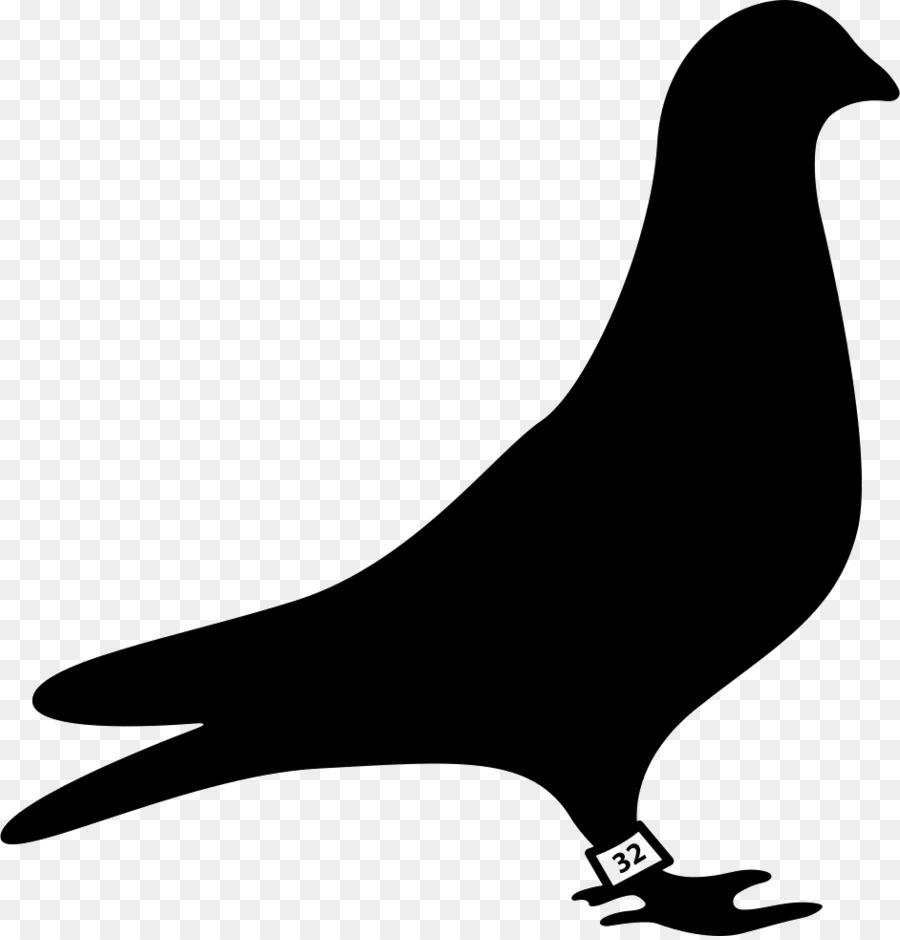 Pigeons and doves Homing pigeon Bird Vector graphics Pigeon racing - bird png download - 942*980 - Free Transparent Pigeons And Doves png Download.