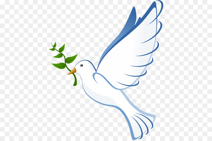 Columbidae Bible Christianity Clip art - Dove Vector png download - 486*596 - Free Transparent Columbidae png Download.