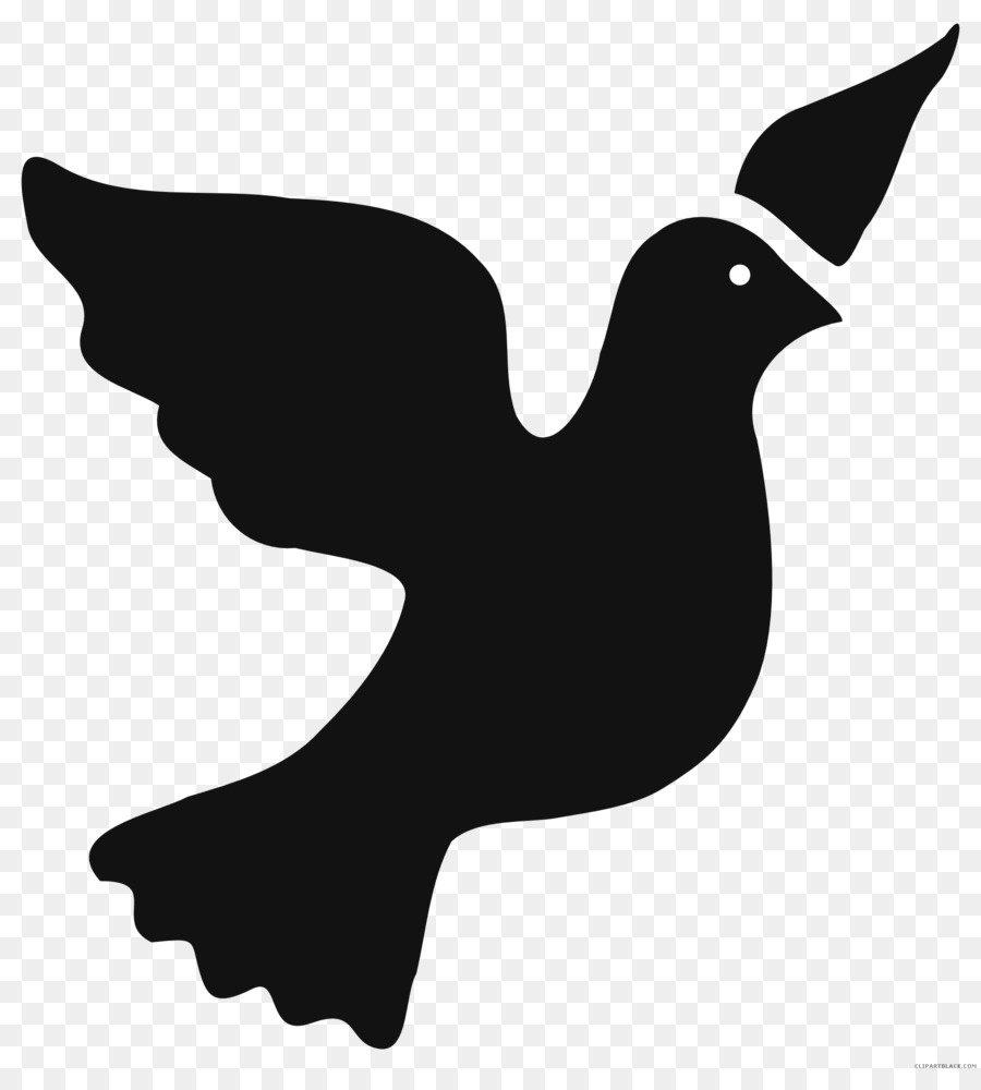 Clip art Pigeons and doves Portable Network Graphics Vector graphics Image - silhouette png download - 1979*2164 - Free Transparent Pigeons And Doves png Download.