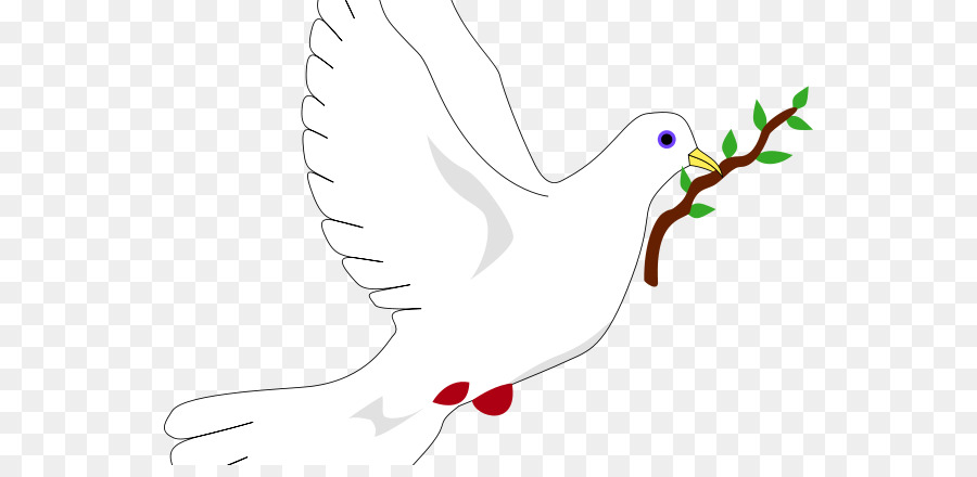 Columbidae Peace symbols Doves as symbols Olive branch - symbol png download - 598*429 - Free Transparent  png Download.